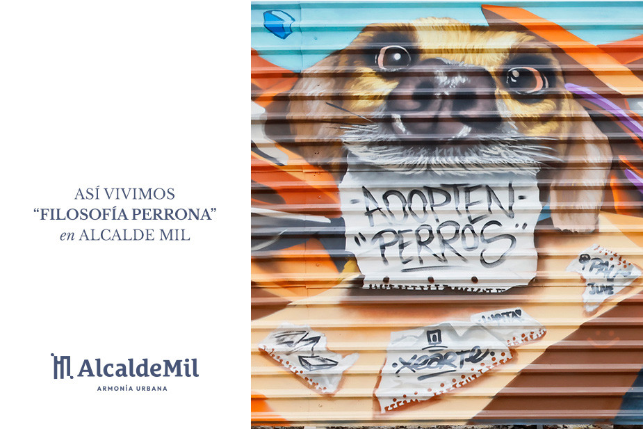 Grupo Casillas y Alcalde Mil impulsan el arte urbano con Filosofía Perrona