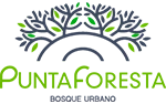 PUNTA FORESTA