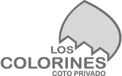 COLORINES
