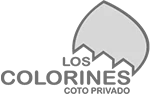 COLORINES