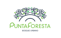 PUNTA FORESTA